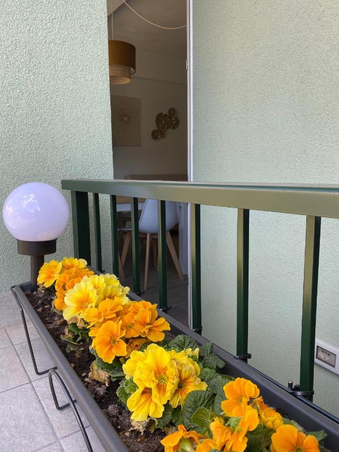 Valtellina Vacanze Sondrio Exterior foto
